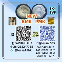 28578-16-7 pmk  Ethyl Glycidate Organic  White Powder  99% High Purity5449-12-7 BMK