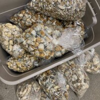 Signal: +(34)607218704) DMT vapes and carts , MAGIC MUSHROOM ONLINE Experience the power of our mag