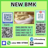 Cas 5449-12-7 BMK Powder glycidate Bmk Glycidic Acid