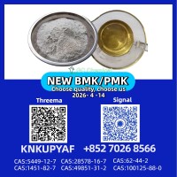 Laboratory Grade Materials PM.K 28578-16-7 with BM.K CAS 5449-12-7 |