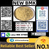 5449-12-7 BMK Glycidic Acid (sodium salt) With Best Price