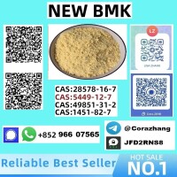 5449-12-7 BMK Glycidic Acid (sodium salt) With Best Price by First