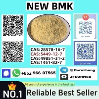 CAS5449-12-7 BMK Glycidic Acid (sodium salt) With Best Price by First