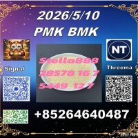 Feedstocks P-MK CAS28578-16-7 CAS5449-12-7/ 49851-31-2