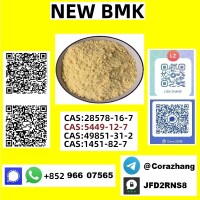 CAS 5449-12-7 BMK Glycidic Acid (sodium Salt) Manufacturers & Suppliers