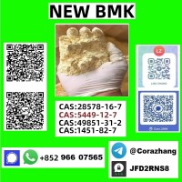 Cas 5449-12-7 BMK Glycidic Acid (sodium Salt) In Bulk - Manufacturers & Suppliers