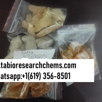 Buy Oxycodone Buy Percocet Buy Percodan Buy Roxicodone Buy Tramadol Buy adderall