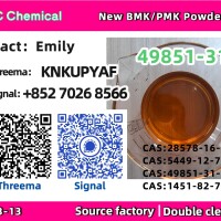 ·Fast delivery b.m.k 5449-12-7 p.m.k 28578-16-7 new 49851-31-2