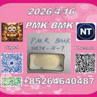 best service PMK 28578-16-7 BMK 5449-12-7/49851-31-2