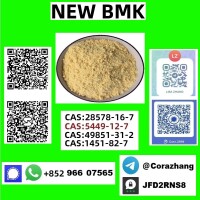 CAS5449-12-7 BMK Glycidic Acid (sodium Salt) Manufacturers & Suppliers