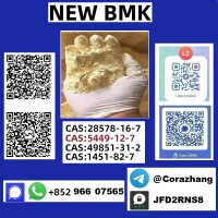 CAS5449-12-7 BMK Powder glycidate Bmk Glycidic Acid