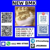 Cas5449-12-7 BMK Glycidic Acid (sodium Salt) In Bulk - Manufacturers & Suppliers
