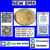 5449-12-7 BMK Glycidic Acid (sodium Salt) Manufacturers & Suppliers