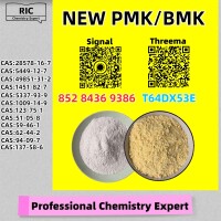 Stock Available PM.K 28578-16-7 BM.K 5449-12-7  49851-31-2 1451-82-7
