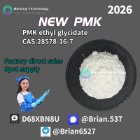 28578-16-7 PMK ethyl glycidate