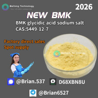 5449-12-7 BMK glycidic acid sodium salt