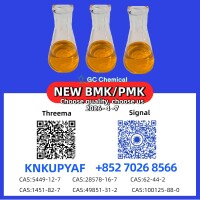 Direct Factory Source PM.K 28578-16-7 with BM.K CAS 5449-12-7 Competitive Pricing