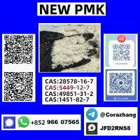 cas28578-16-7 PMK ethyl glycidate Manufacturer Supply High Quality