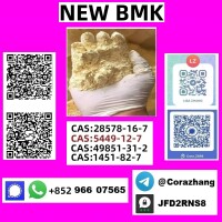 Cas 5449-12-7 BMK Powder glycidate Bmk Glycidic Acid Factory price
