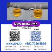 High Purity Compounds PM.K 28578-16-7 with BM.K CAS 5449-12-7