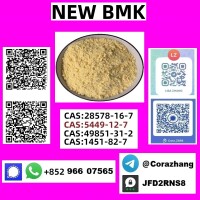 Cas5449-12-7 BMK Powder glycidate Bmk Glycidic Acid Factory price