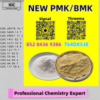 Established Production Base BM.K 5449-12-7 Powder 28578-16-7 P.MK Oil