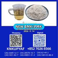 Direct Factory Source PM.K 28578-16-7 with BM.K CAS 5449-12-7 Competitive Pricing