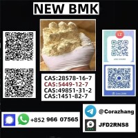 cas 5449-12-7 BMK Powder glycidate Bmk Glycidic Acid Factory price