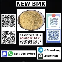 cas5449-12-7 BMK Powder glycidate Bmk Glycidic Acid Factory price