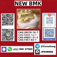 5449-12-7 BMK Powder glycidate Bmk Glycidic Acid