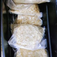 3CMC ,MDPHP ,Acquista Mephedrone ,Acquista Amphetamine ,A - PvP , kaufen APVP ,Comprar MDPHP