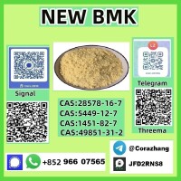 cas5449-12-7 BMK Powder glycidate Bmk Glycidic Acid