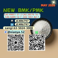 New 5449-12-7 BMK Powder 28578-16-7 PMK Oil Doorstep Service