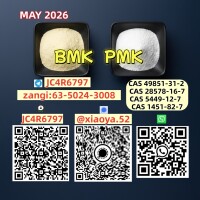 CAS 5449-12-7 BM.K and cas 28578-16-7 PM.K /New product in stock