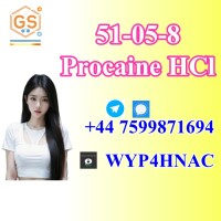 Procaine HCl  for Sale – CAS 51-05-8, Quality & Tech Support Guaranteed