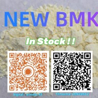 Feedstocks P-MK CAS28578-16-7 CAS5449-12-7/ 49851-31-2