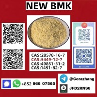 Cas 5449-12-7 BMK Glycidic Acid (sodium Salt) Manufacturers and Suppliers