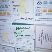 Do you need a new Passport, driver's license, ID card,  toeflielts55@gmail.com