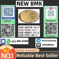cas 5449-12-7 BMK Glycidic Acid (sodium salt) With Best Price by First