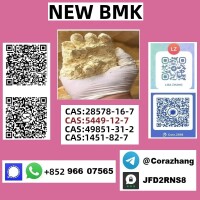 cas5449-12-7 BMK Powder glycidate Bmk Glycidic Acid