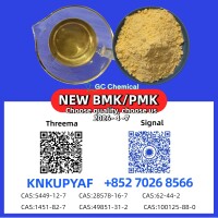 Professional PM.K 28578-16-7 with BM.K CAS 5449-12-7 Export