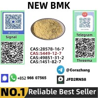 cas5449-12-7 BMK Glycidic Acid (sodium salt) With Best Price by First