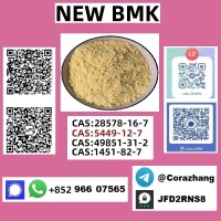 Cas5449-12-7 BMK Glycidic Acid (sodium Salt) Manufacturers and Suppliers