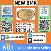 Cas5449-12-7 BMK Glycidic Acid (sodium salt) With Best Price