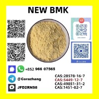 5449-12-7 BMK Glycidic Acid (sodium Salt) Manufacturers and Suppliers