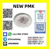 CAS 28578-16-7, Pmk Ethyl Glycidatei Powder at Best Price