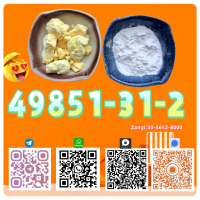 Best Price CAS 49851-31-2 High Purity B.MK
