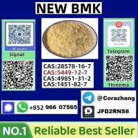 Cas5449-12-7 BMK Glycidic Acid (sodium salt) With Best Price by First