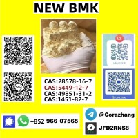 cas5449-12-7 BMK Powder glycidate Bmk Glycidic Acid