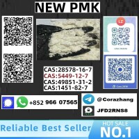 Cas28578-16-7 PMK Ethyl Glycidate Organic PMK Powder